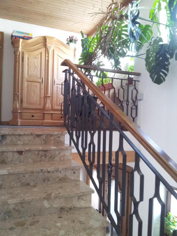 Appartement Fischer 상트조한인티롤 외부 사진
